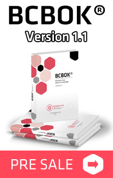 bcbok standard